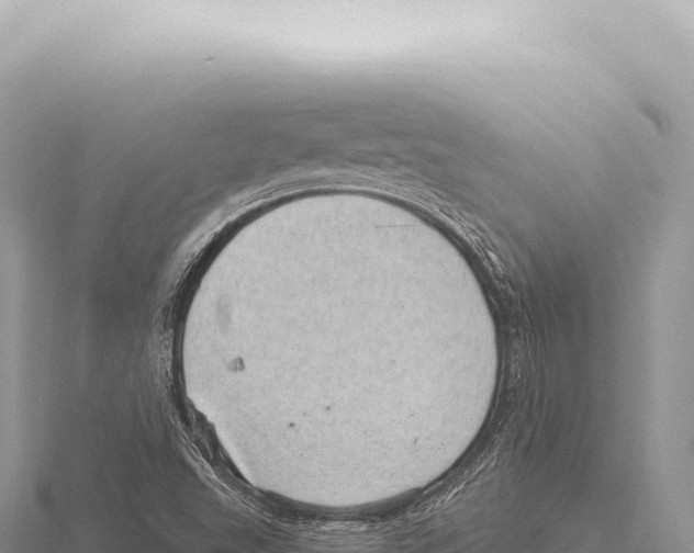 X0000116011503200912171000