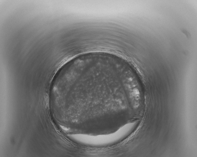 X0000116011505200912171000