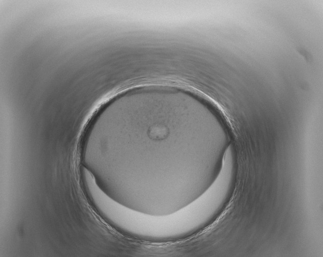 X0000116011506200912171000