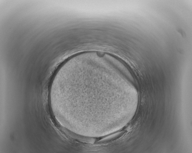 X0000116011507200912171000