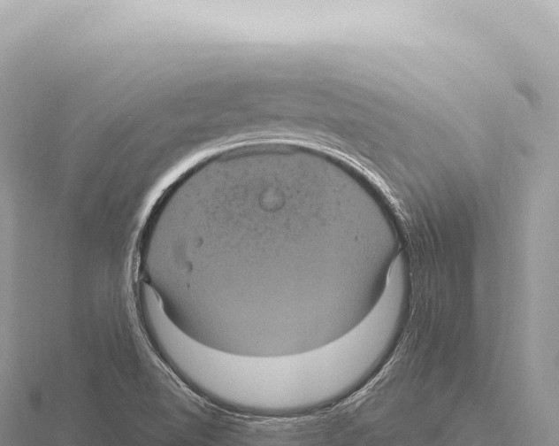 X0000116011510200912171000