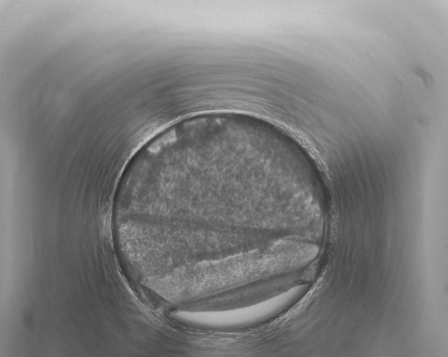 X0000116011513200912171000