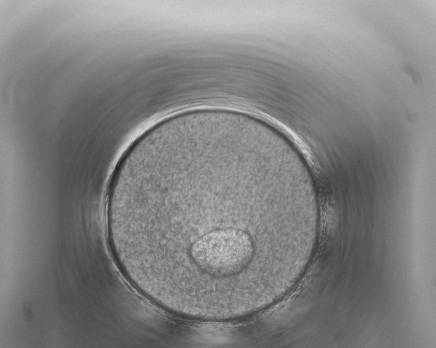 X0000116011514200912171000