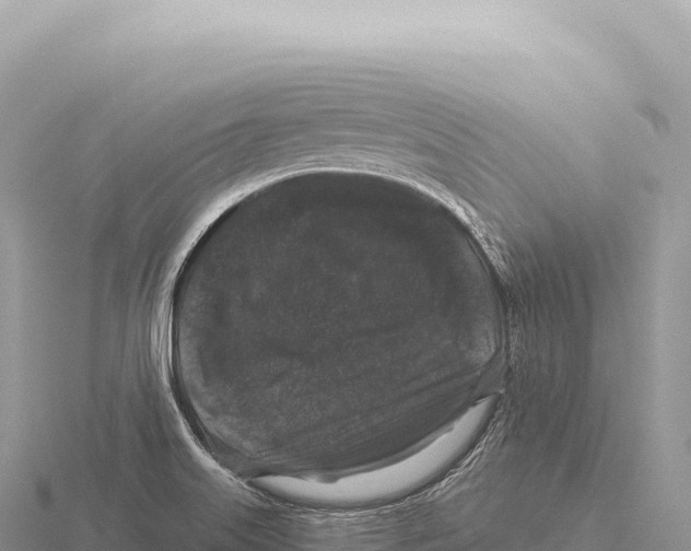 X0000116011515200912171000