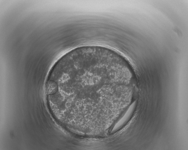 X0000116011517200912171000