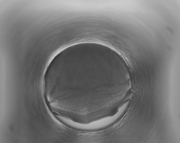 X0000116011519200912171000