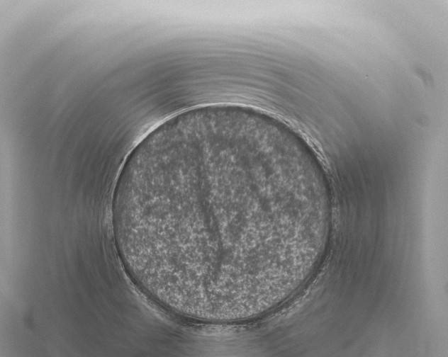 X0000116011521200912171000