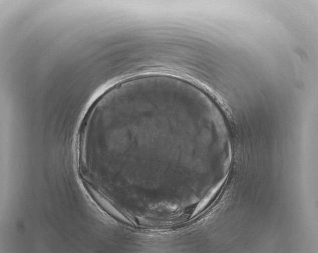 X0000116011522200912171000