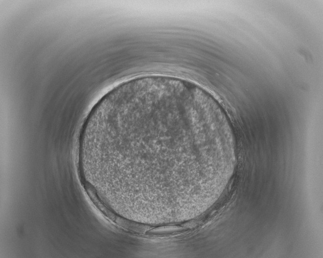 X0000116011523200912171000