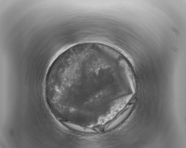 X0000116011525200912171000