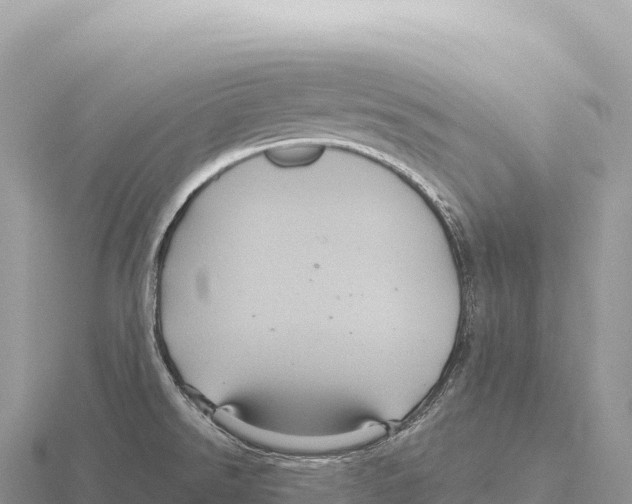 X0000116011526200912171000