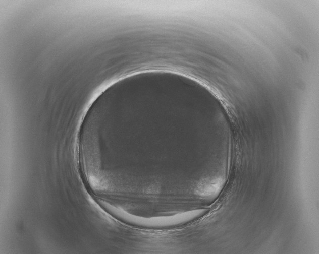 X0000116011527200912171000