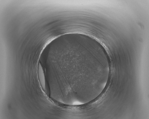 X0000116011529200912171000