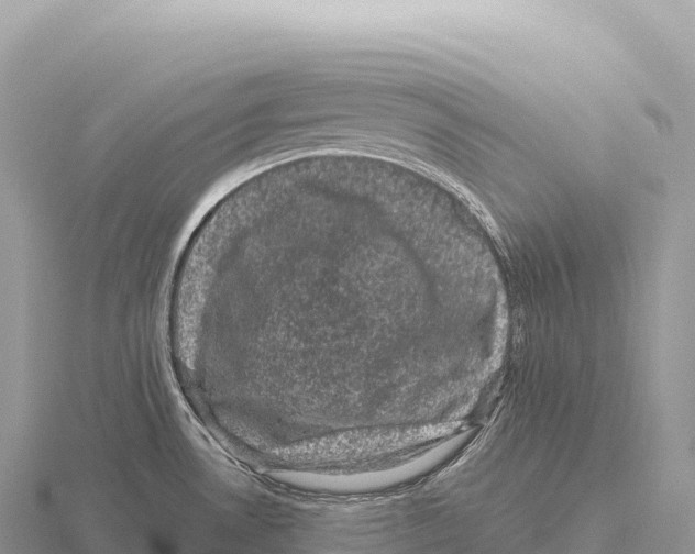 X0000116011530200912171000