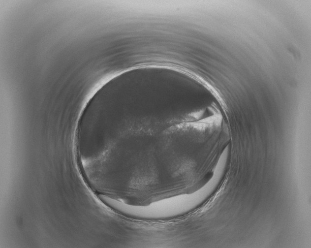 X0000116011533200912171000