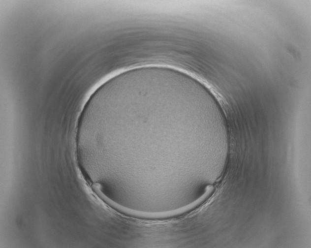 X0000116011534200912171000