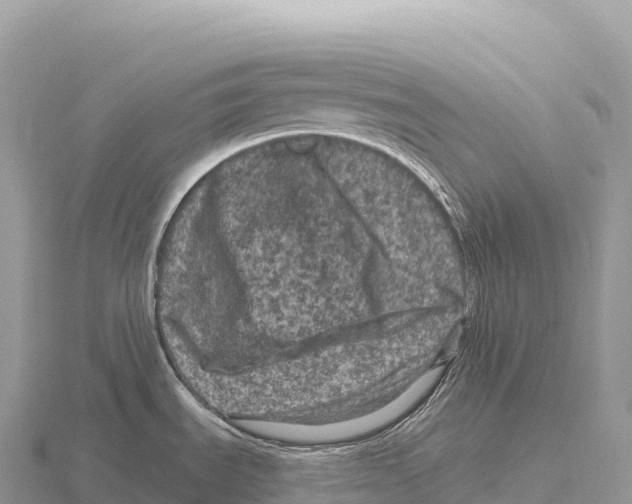 X0000116011535200912171000