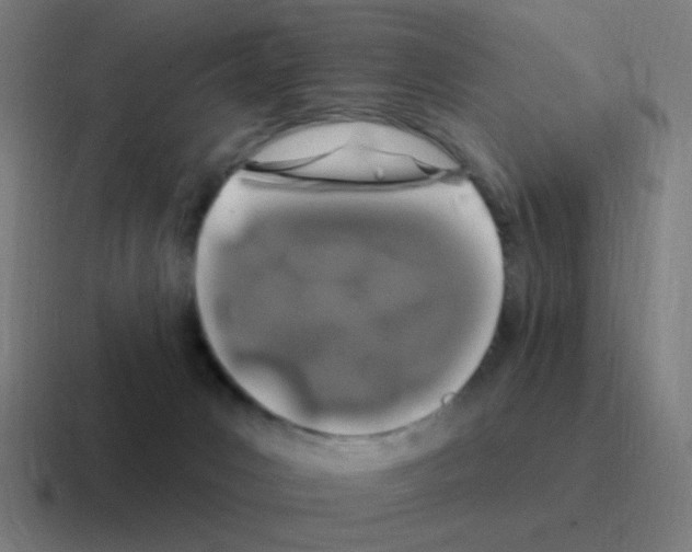 X0000116010031200912312142