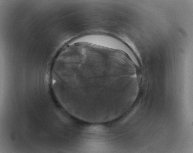 X0000116010063200912312141