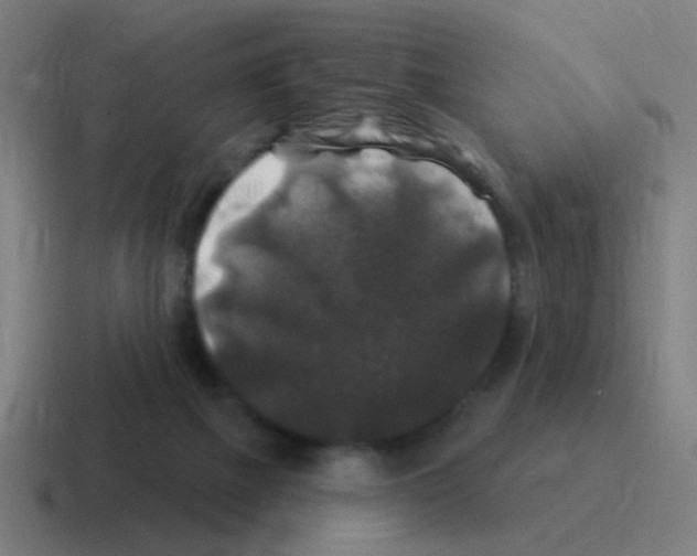 X0000116010073200912312141