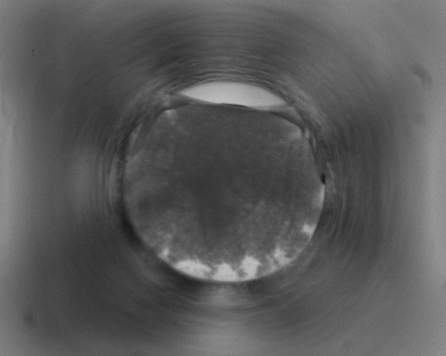 X0000116010074200912312141