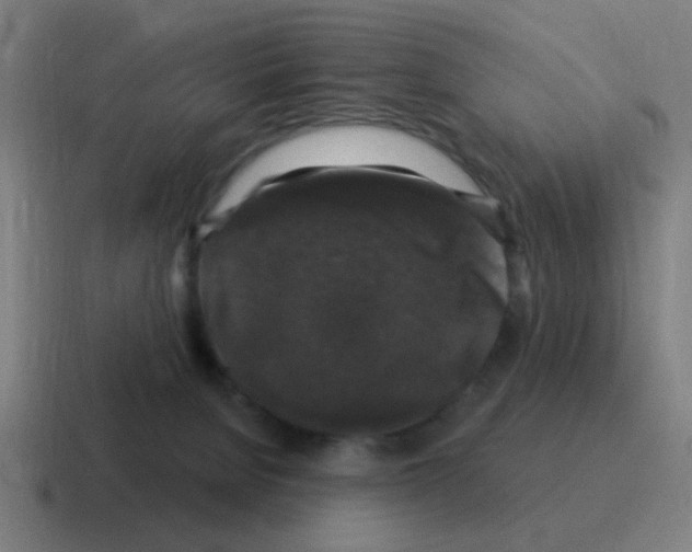 X0000116010080200912312142
