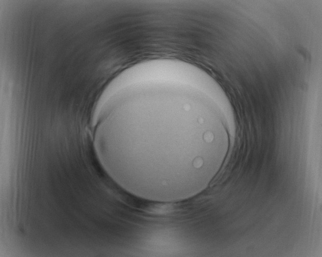 X0000116010084200912312142