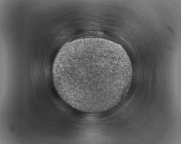 X0000116010088200912312142