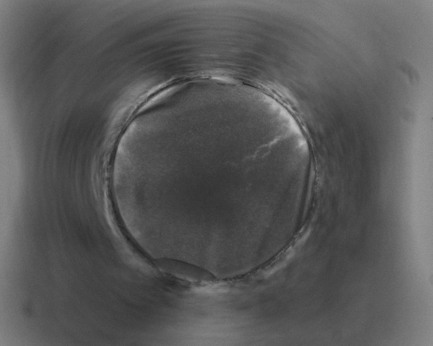 X0000116010097200912312141