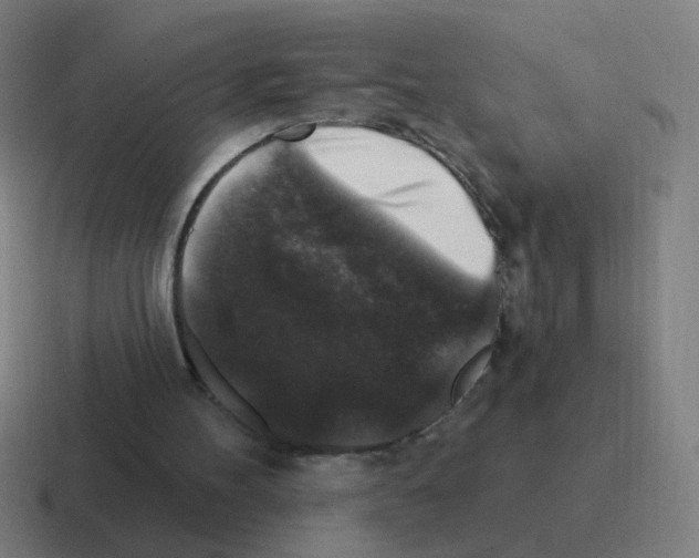 X0000116010100200912312141