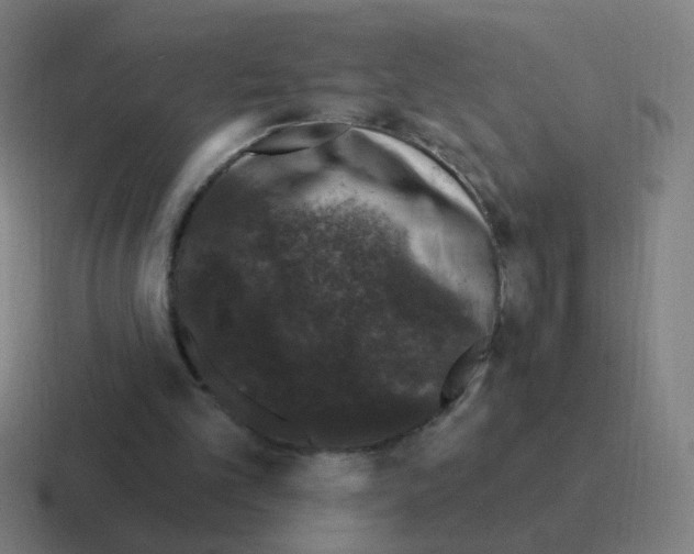 X0000116010101200912312141
