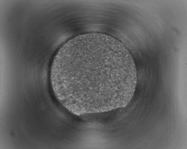 X0000116010112200912312141