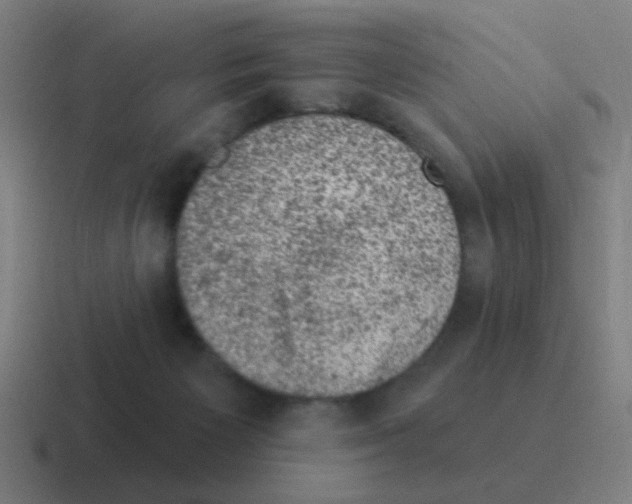 X0000116010125200912312141
