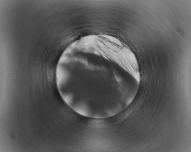 X0000116010139200912312141