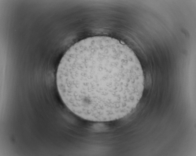 X0000116010183200912312140