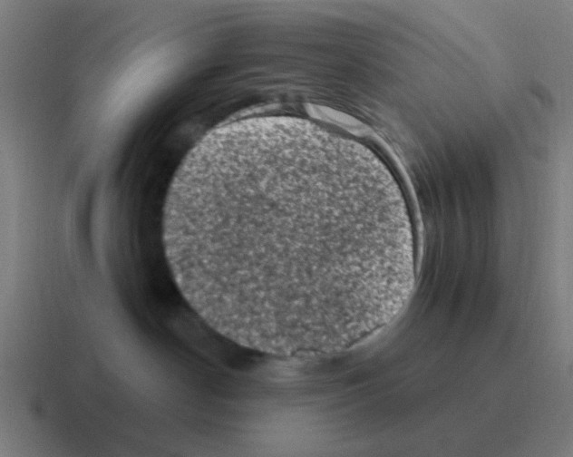 X0000116010190200912312141