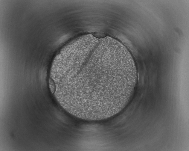 X0000116010201200912312140