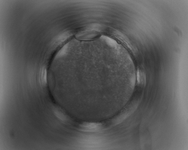 X0000116010205200912312140