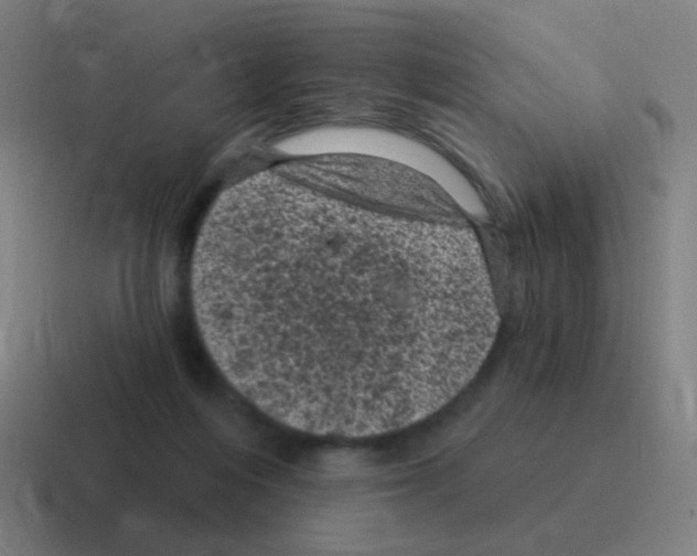 X0000116010216200912312140