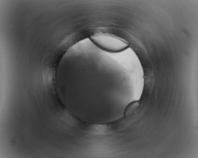 X0000116010233200912312139