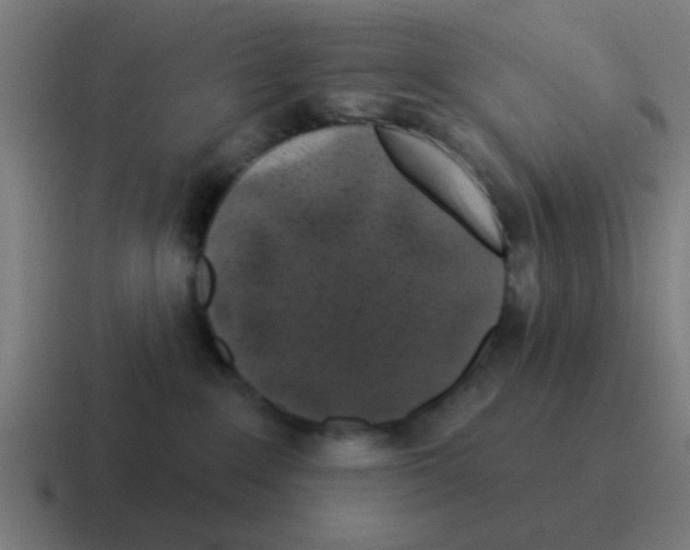 X0000116010235200912312139