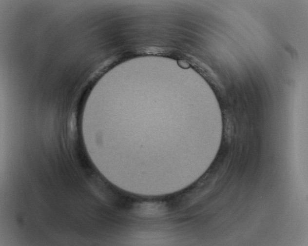 X0000116010251200912312139