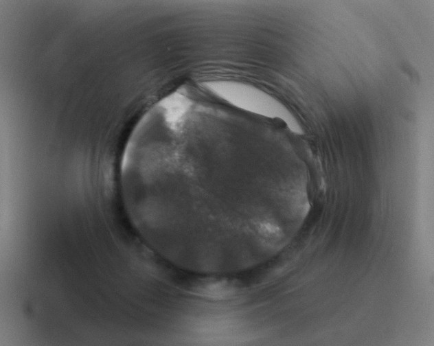 X0000116010267200912312139
