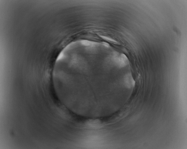 X0000116010271200912312139