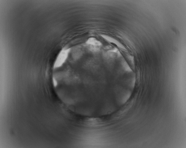 X0000116010277200912312139
