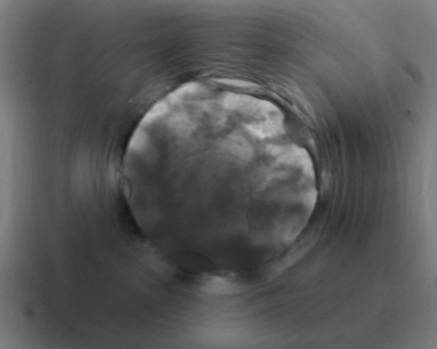X0000116010285200912312139