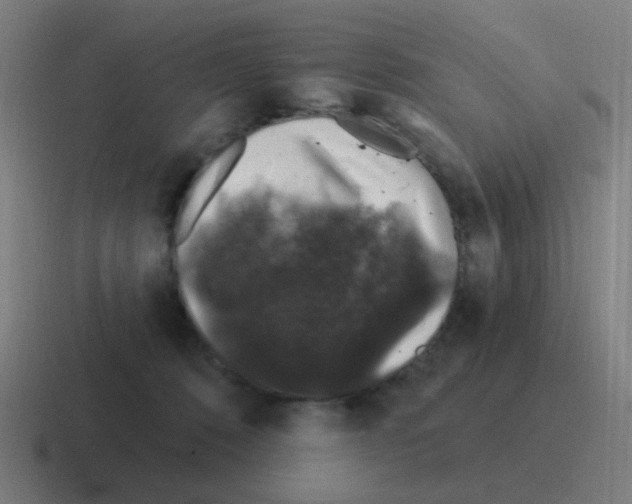 X0000116010320200912312138
