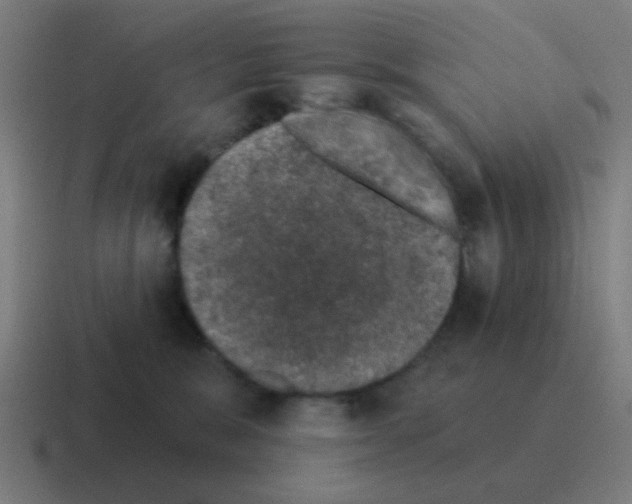 X0000116010327200912312138