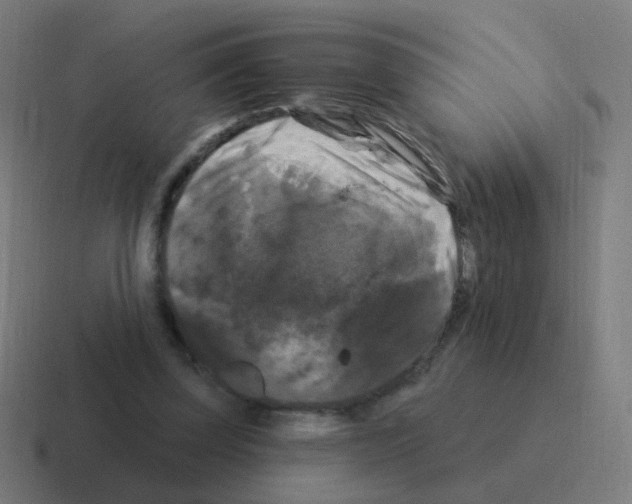 X0000116010347200912312138