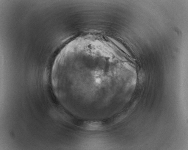 X0000116010359200912312138